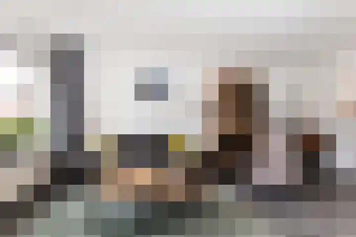 van Pijkerenlaan 63 Oldebroek thumbnail 7