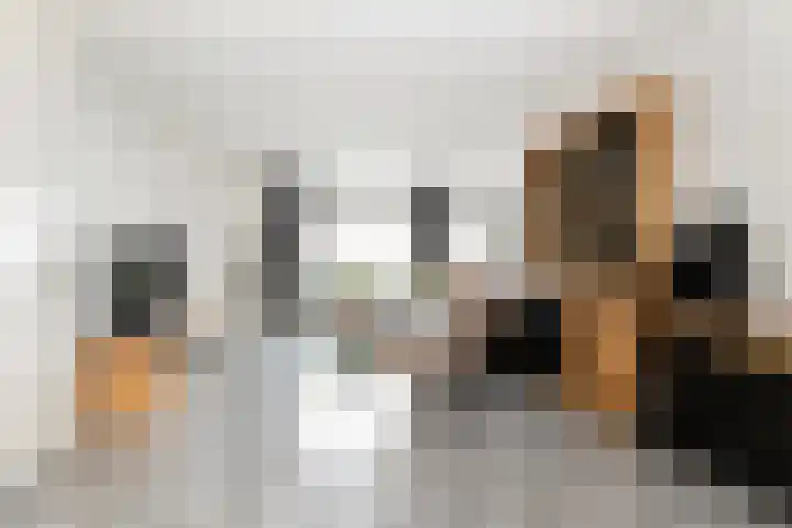 van Pijkerenlaan 63 Oldebroek thumbnail 8