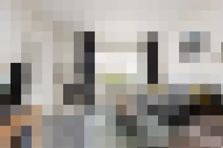 van Pijkerenlaan 63 Oldebroek thumbnail 9