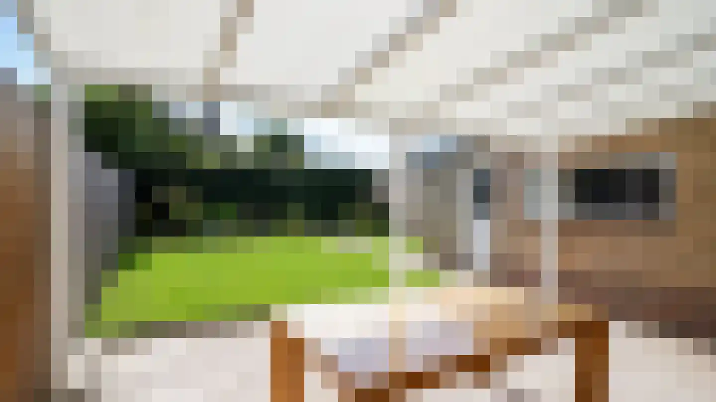 van Plettenbergstraat 2 Margraten thumbnail 22