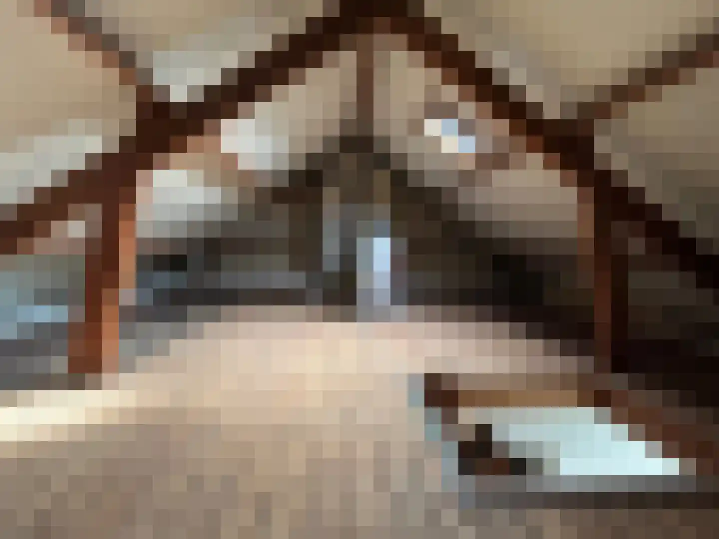 van Plettenbergstraat 2 Margraten thumbnail 38
