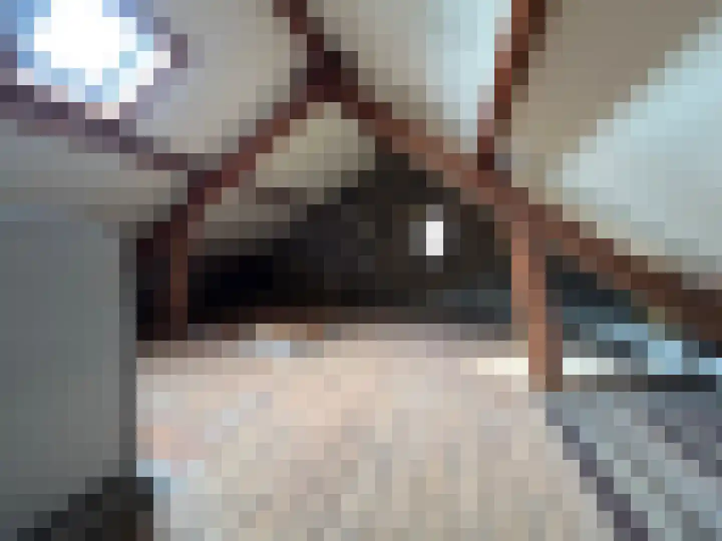 van Plettenbergstraat 2 Margraten thumbnail 39