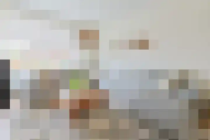 van Poelgeestlaan 10 Koudekerk aan den Rijn thumbnail 12