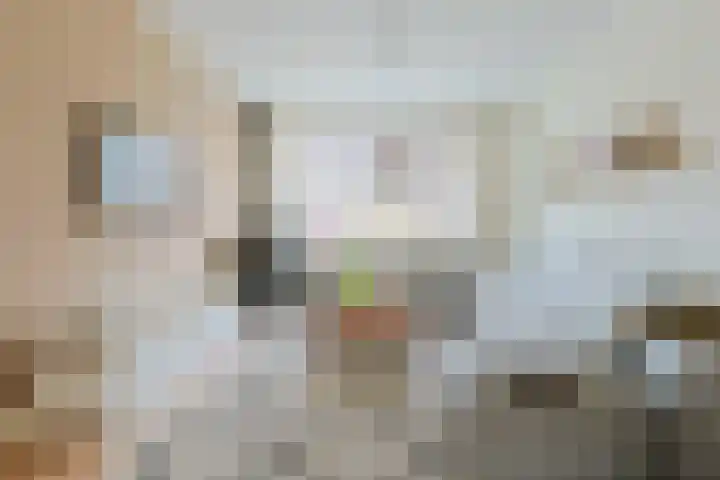 van Poelgeestlaan 10 Koudekerk aan den Rijn thumbnail 13