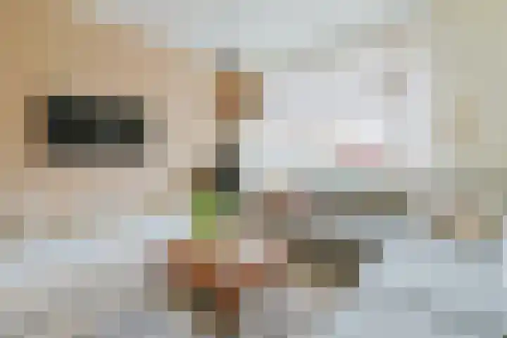 van Poelgeestlaan 10 Koudekerk aan den Rijn thumbnail 15