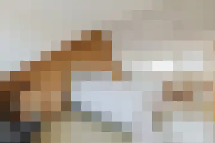 van Poelgeestlaan 10 Koudekerk aan den Rijn thumbnail 34