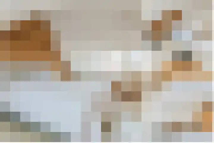 van Poelgeestlaan 10 Koudekerk aan den Rijn thumbnail 38