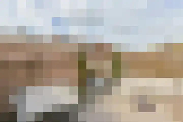 van Poelgeestlaan 10 Koudekerk aan den Rijn thumbnail 42