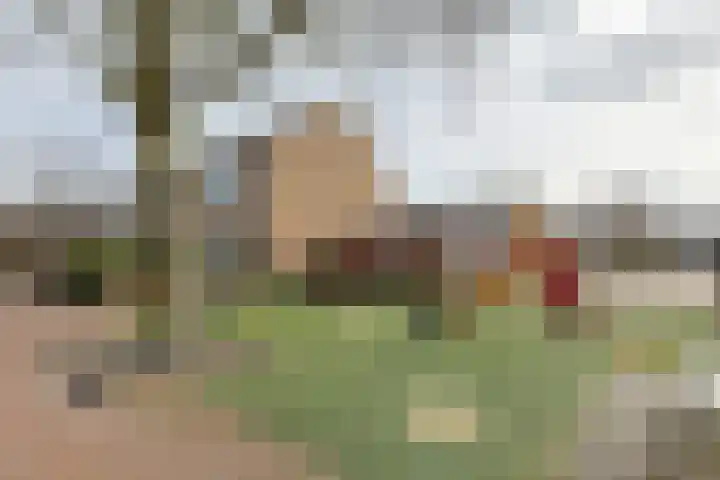 van Poelgeestlaan 10 Koudekerk aan den Rijn thumbnail 44