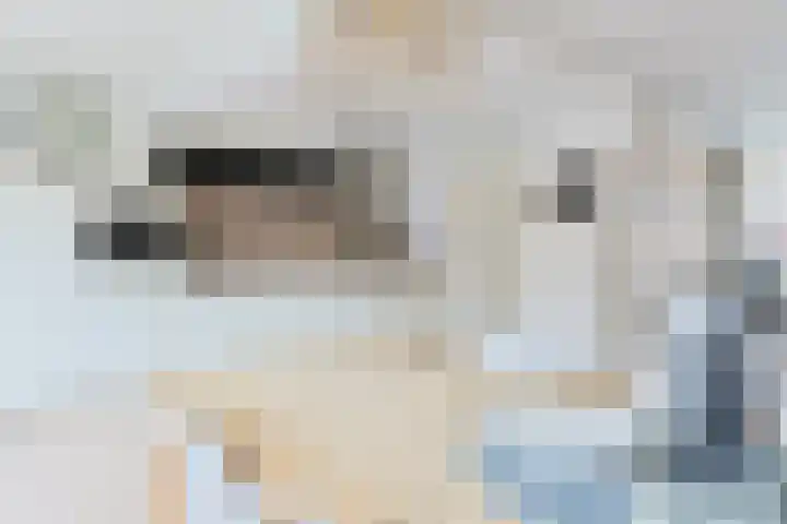 van Poelgeestlaan 10 Koudekerk aan den Rijn thumbnail 8
