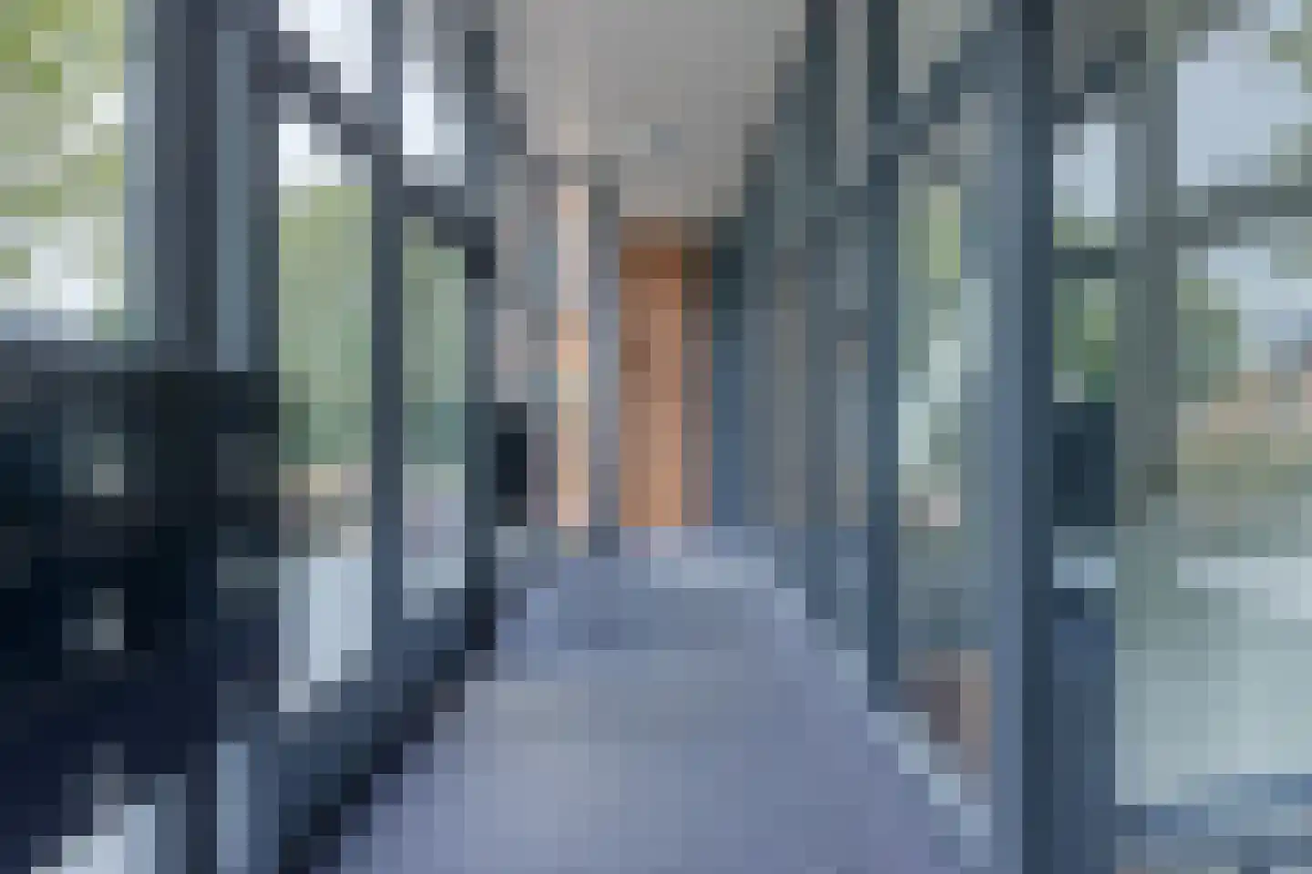 Van Poelgeestlaan 107 Leiderdorp thumbnail 30