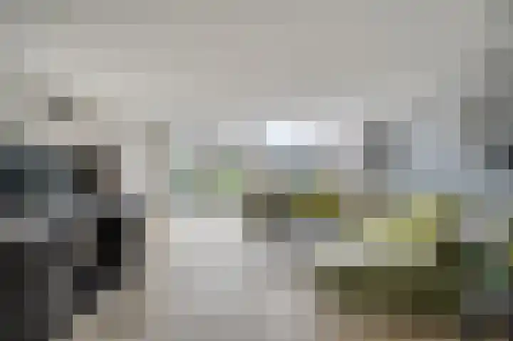 van Poelgeestlaan 2 Koudekerk aan den Rijn thumbnail 10