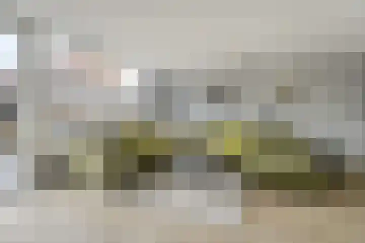 van Poelgeestlaan 2 Koudekerk aan den Rijn thumbnail 11
