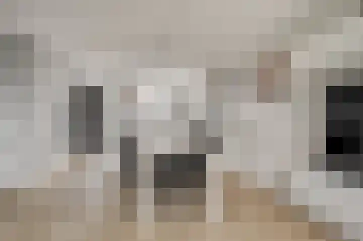 van Poelgeestlaan 2 Koudekerk aan den Rijn thumbnail 12
