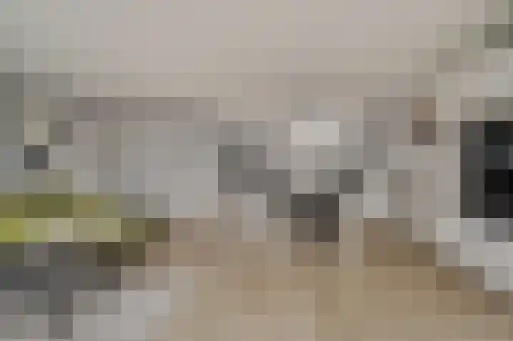 van Poelgeestlaan 2 Koudekerk aan den Rijn thumbnail 13