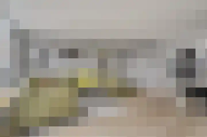 van Poelgeestlaan 2 Koudekerk aan den Rijn thumbnail 14