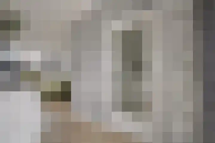 van Poelgeestlaan 2 Koudekerk aan den Rijn thumbnail 15