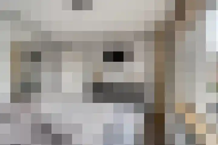 van Poelgeestlaan 2 Koudekerk aan den Rijn thumbnail 22