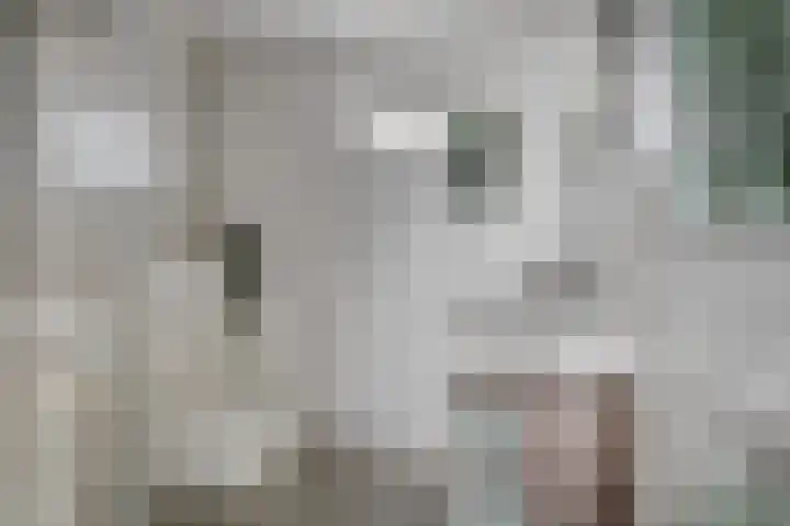 van Poelgeestlaan 2 Koudekerk aan den Rijn thumbnail 25
