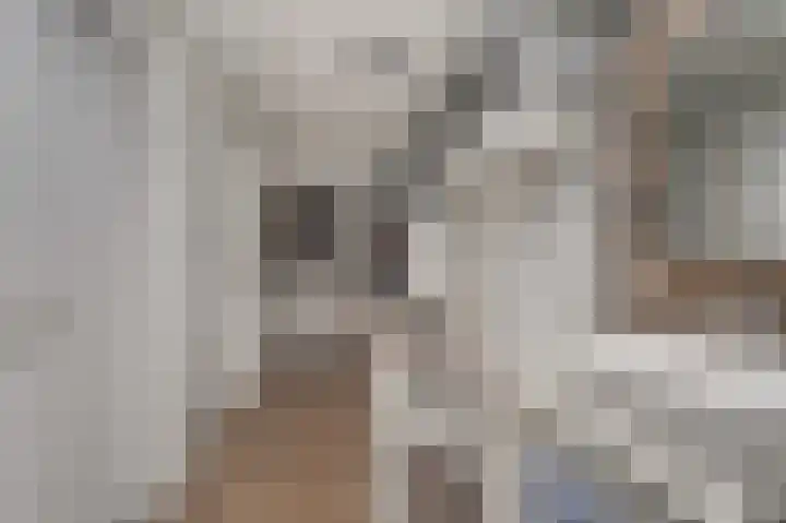 van Poelgeestlaan 2 Koudekerk aan den Rijn thumbnail 32