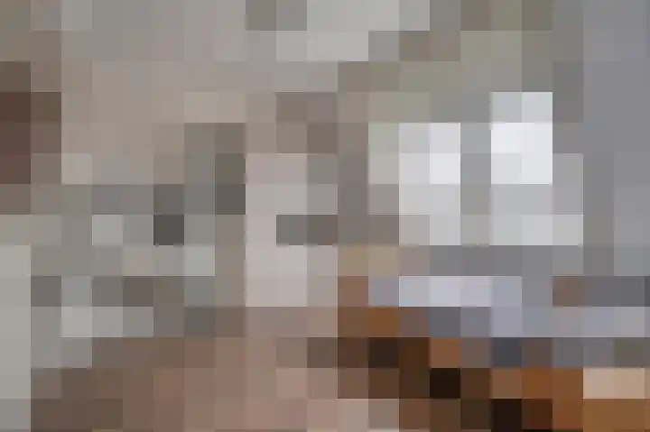 van Poelgeestlaan 2 Koudekerk aan den Rijn thumbnail 35
