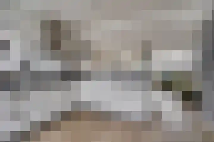van Poelgeestlaan 2 Koudekerk aan den Rijn thumbnail 7