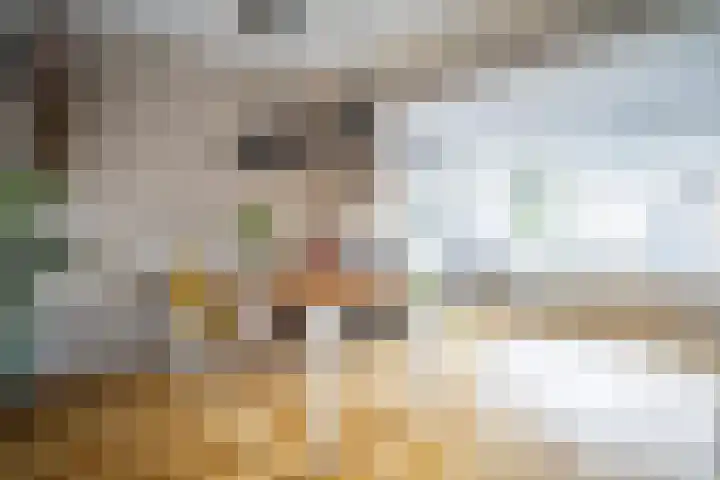 Van Poelgeestlaan 23 Leiderdorp thumbnail 12
