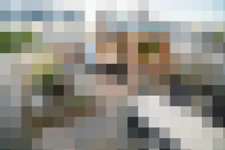Van Poelgeestlaan 23 Leiderdorp thumbnail 22