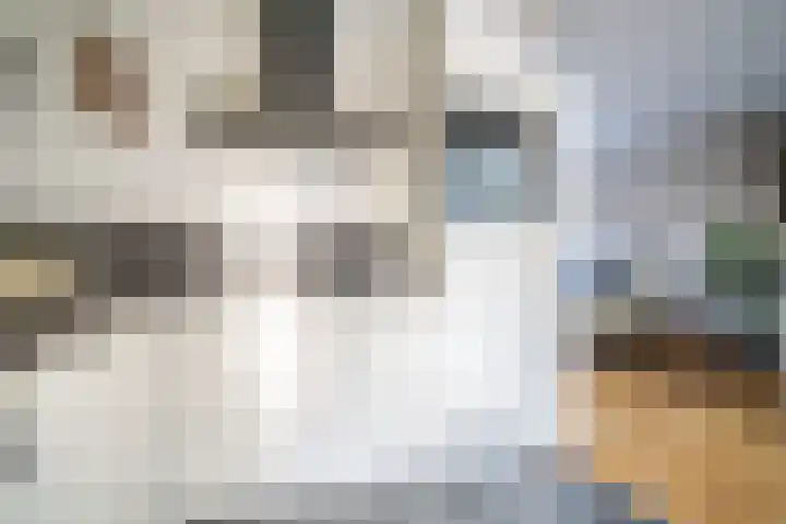 Van Poelgeestlaan 23 Leiderdorp thumbnail 28