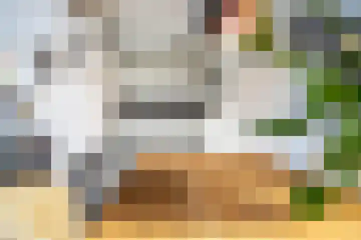 Van Poelgeestlaan 23 Leiderdorp thumbnail 29