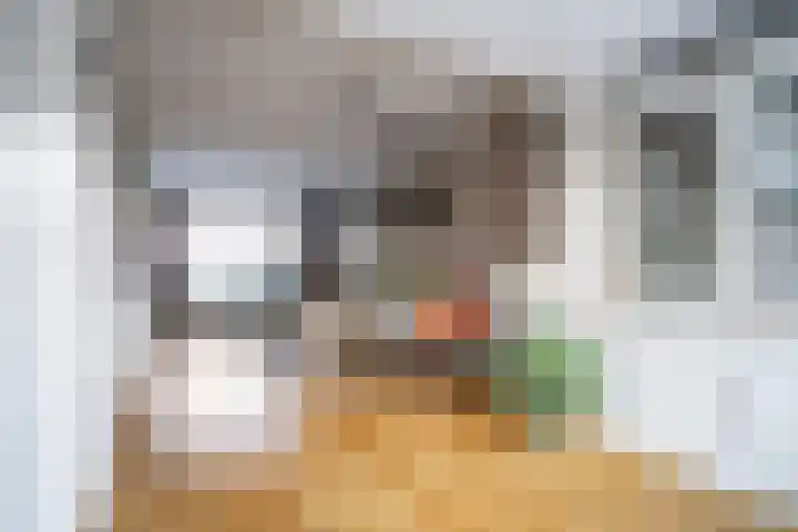 Van Poelgeestlaan 23 Leiderdorp thumbnail 31