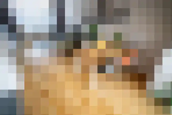 Van Poelgeestlaan 23 Leiderdorp thumbnail 4