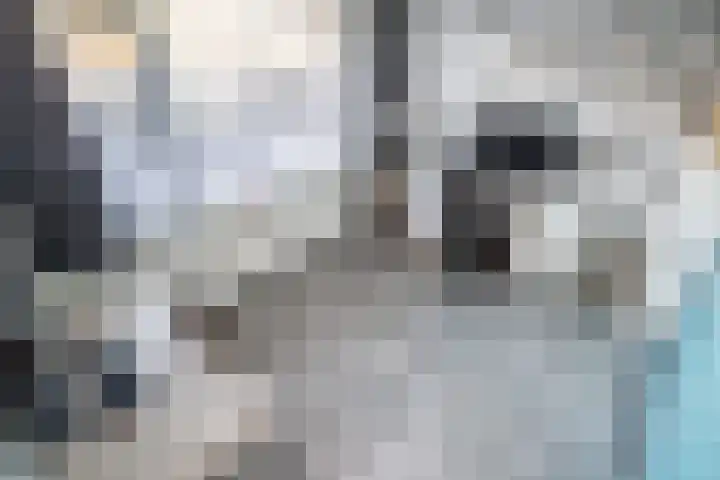 Van Poelgeestlaan 23 Leiderdorp thumbnail 47