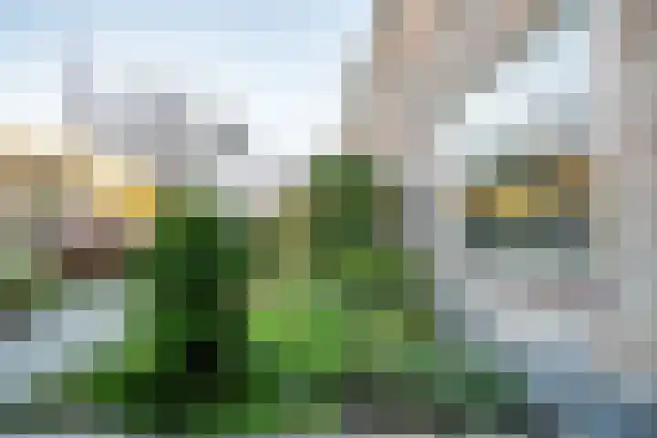 Van Poelgeestlaan 23 Leiderdorp thumbnail 63