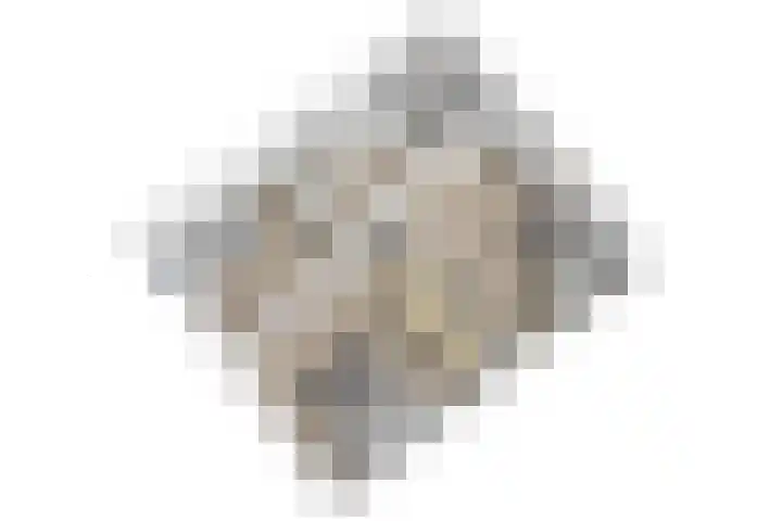Van Poelgeestlaan 23 Leiderdorp thumbnail 69