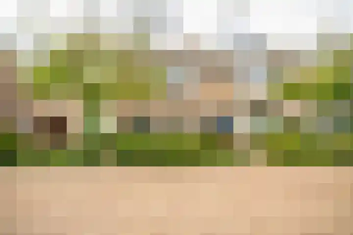 Van Poelgeestlaan 29 in Leiderdorp