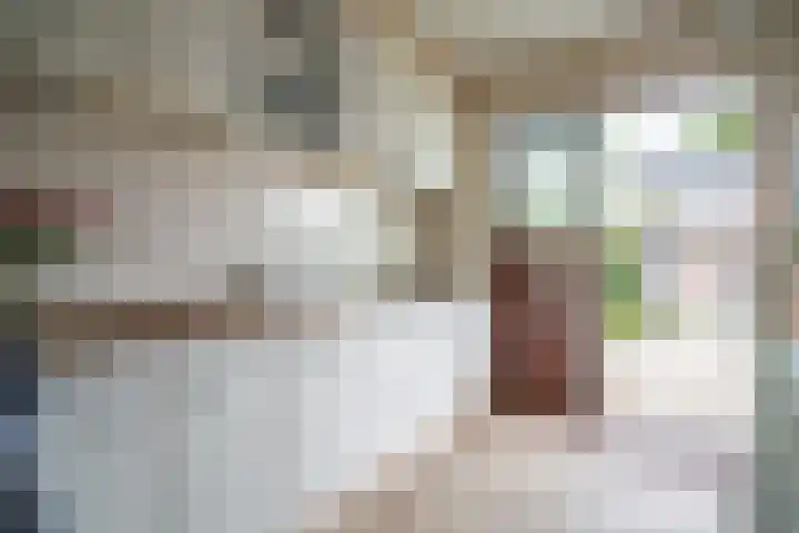 Van Poelgeestlaan 29 Leiderdorp thumbnail 17