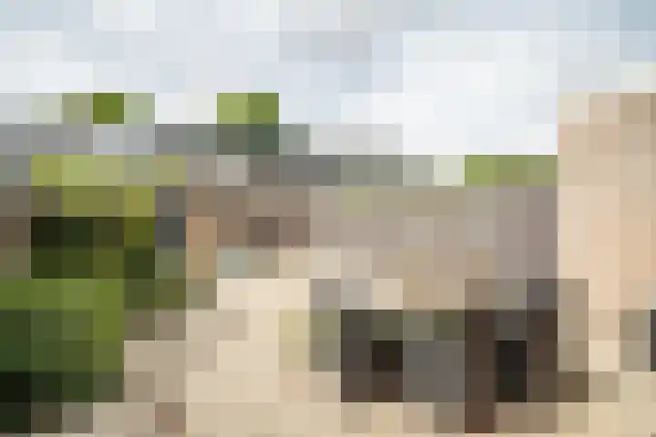 Van Poelgeestlaan 29 Leiderdorp thumbnail 19