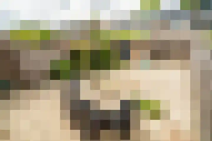 Van Poelgeestlaan 29 Leiderdorp thumbnail 21