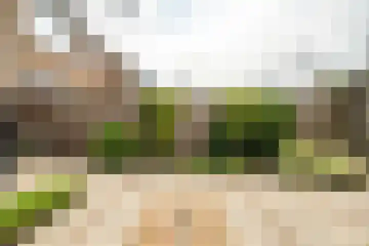 Van Poelgeestlaan 29 Leiderdorp thumbnail 22