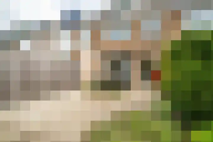 Van Poelgeestlaan 29 Leiderdorp thumbnail 25