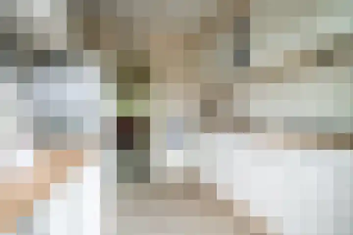 Van Poelgeestlaan 29 Leiderdorp thumbnail 27