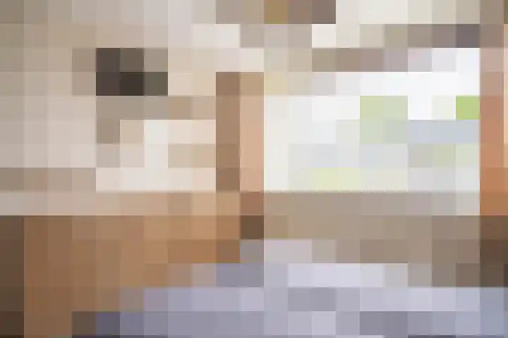 Van Poelgeestlaan 29 Leiderdorp thumbnail 34