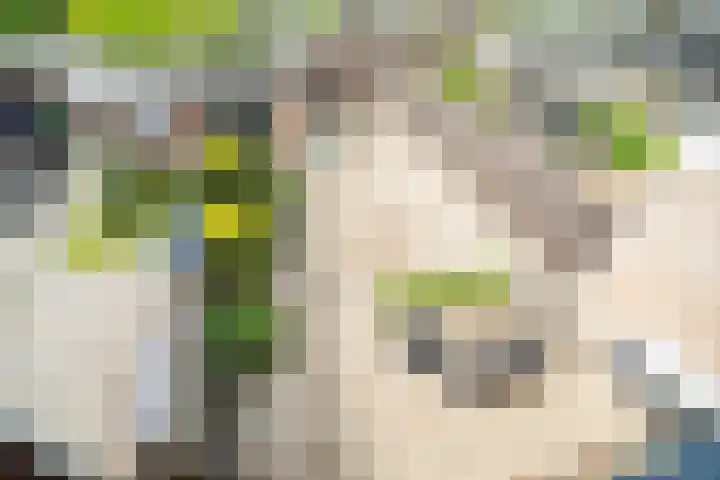 Van Poelgeestlaan 29 Leiderdorp thumbnail 35