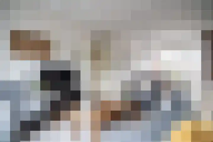 Van Poelgeestlaan 29 Leiderdorp thumbnail 4