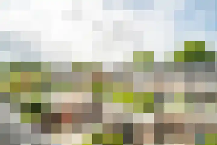 Van Poelgeestlaan 29 Leiderdorp thumbnail 45