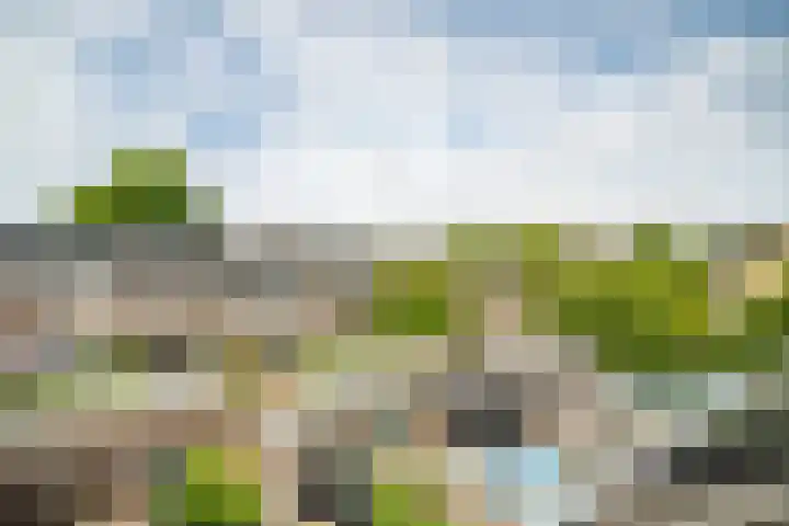Van Poelgeestlaan 29 Leiderdorp thumbnail 46