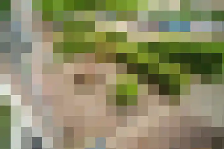 Van Poelgeestlaan 29 Leiderdorp thumbnail 48