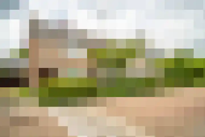 Van Poelgeestlaan 29 Leiderdorp thumbnail 50