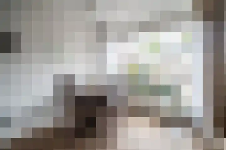 Van Poelgeestlaan 29 Leiderdorp thumbnail 7
